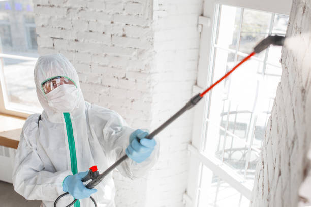 Best Crawl Space Mold Remediation  in Charleston, WV