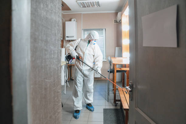 Best Dehumidification Services  in Charleston, WV