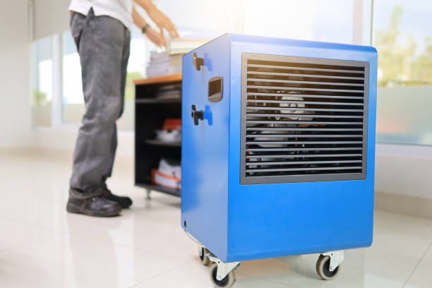 Best Commercial Mold Inspection  in Charleston, WV