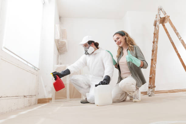 Best Emergency Mold Remediation  in Charleston, WV
