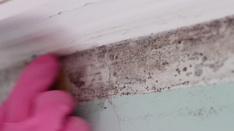 Asbestos and Lead Testing During Mold Inspection in Charleston, WV